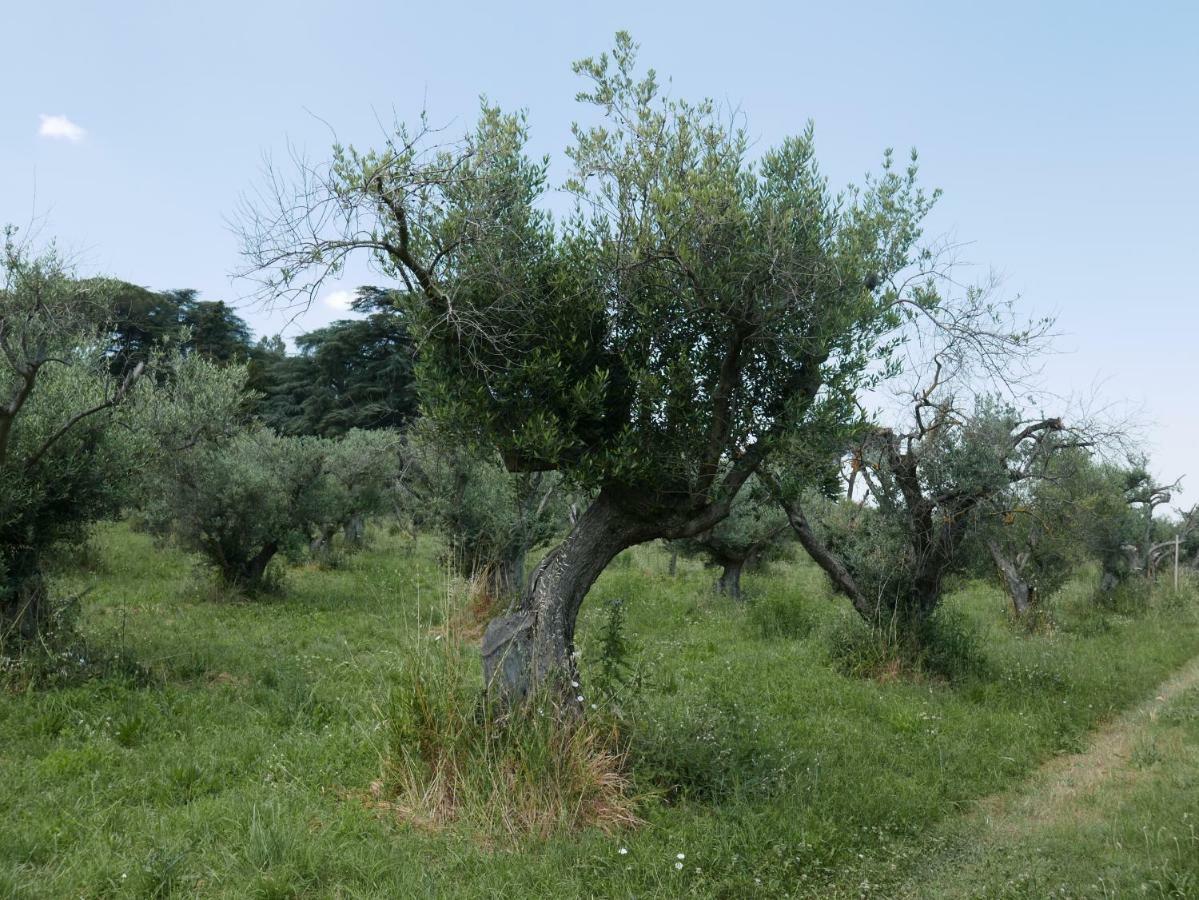 Villa Cavalletti Grottaferrata Exterior foto